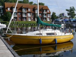 elise36